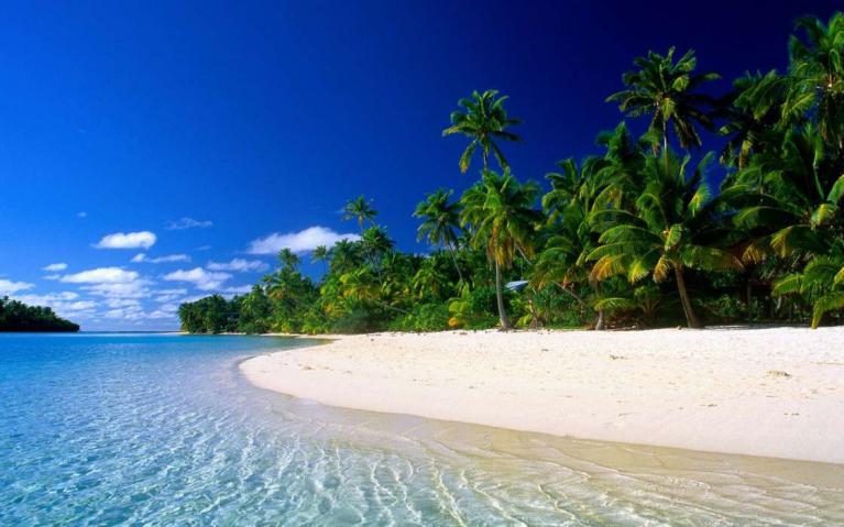 Arembepe Praias Cheias de Natureza e Cultura