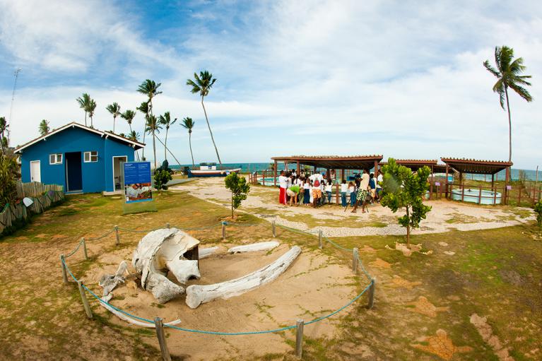 Projeto Tamar - Centro de Proteção de Tartarugas Marinhas